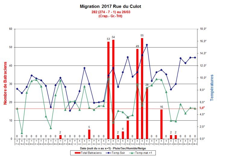 Migration-Culot-2017