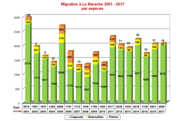 Migration-Marache-2001-2017-par-espce