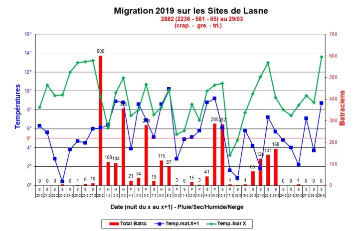 Migration_2019_Lasne