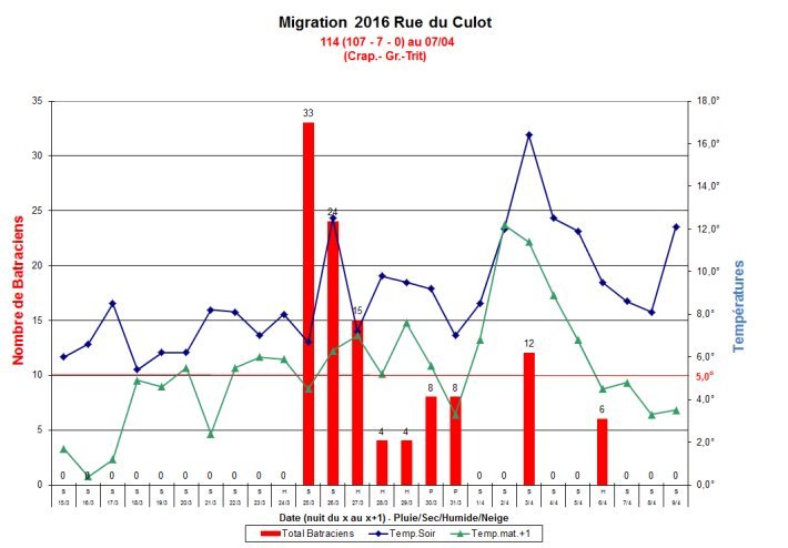 Migration_Culot_2016