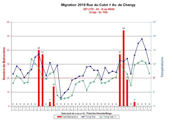 Migration_Culot_2018