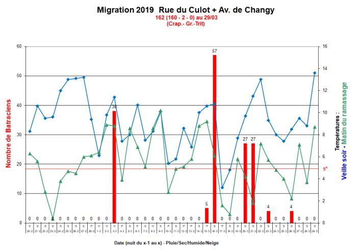 Migration_Culot_2019