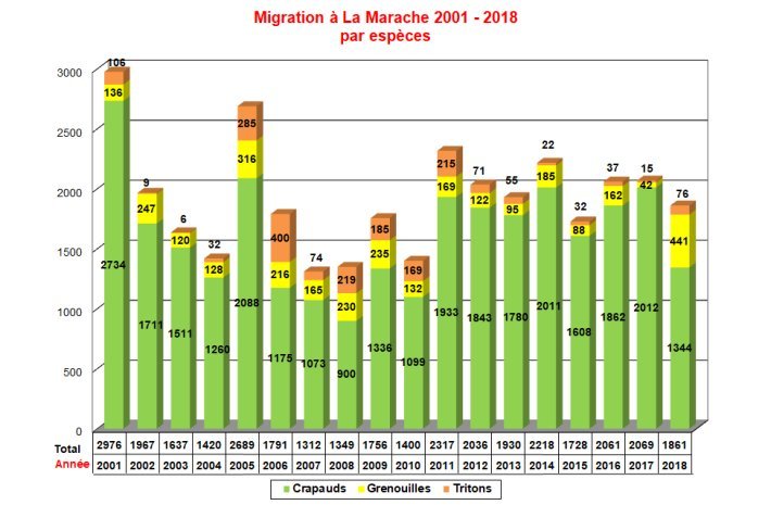 Migration_Marache_2001-2018_par_espce