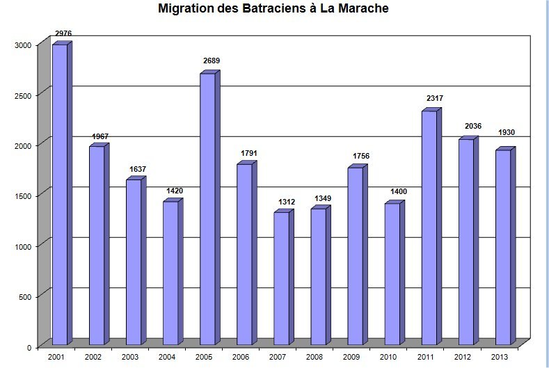 Migration_Marache_2001_2013