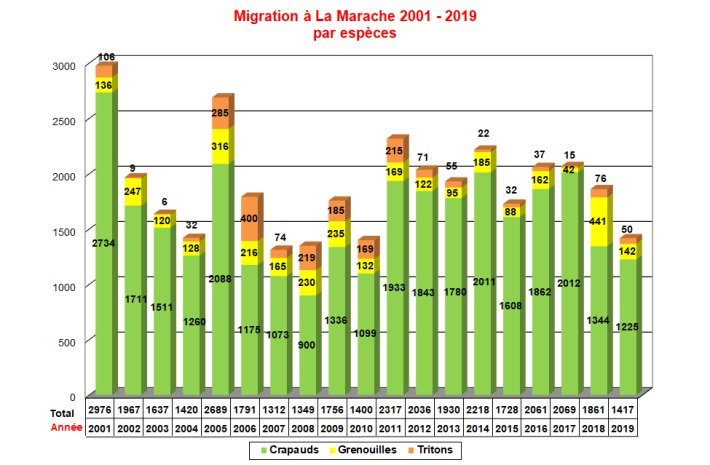 Migration_Marache_2001_2019_par_espece
