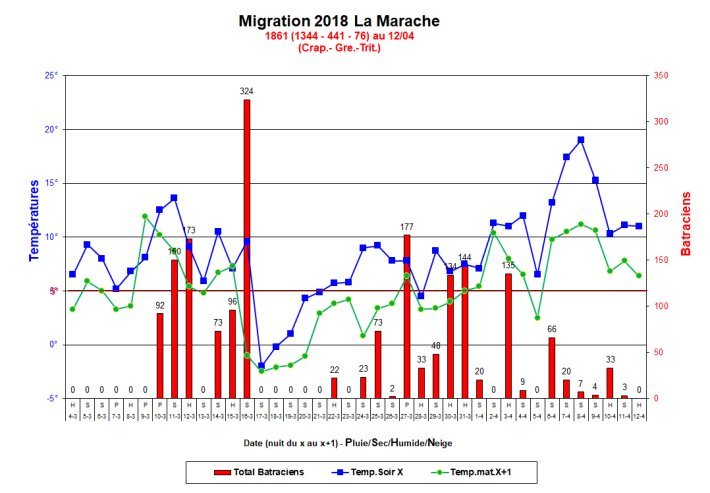 Migration_Marache_2018