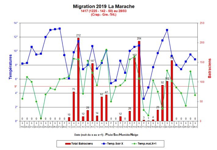 Migration_Marache_2019