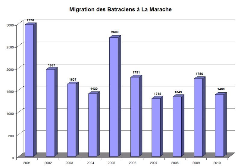 marache_2001_2010