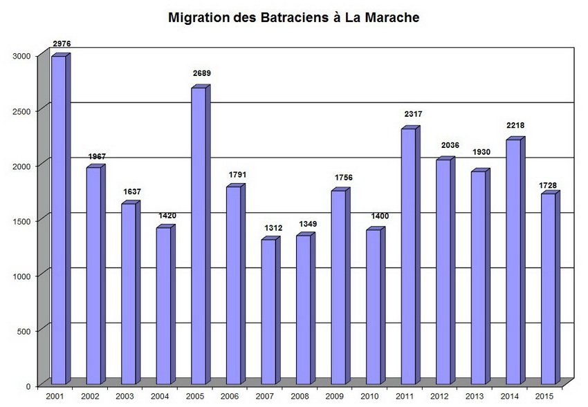 migration__marache_2001_2015