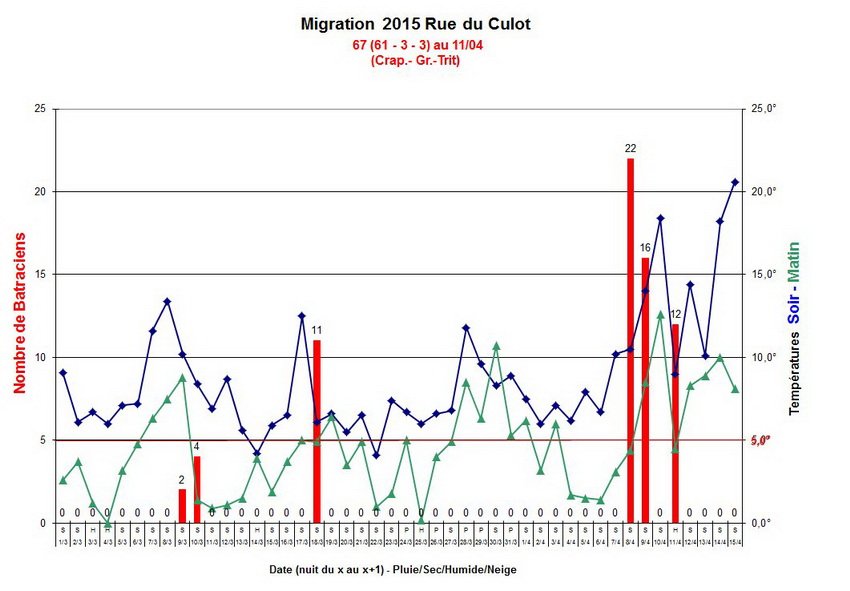 migration_culot_2015