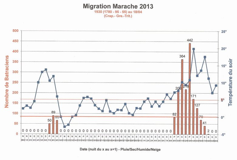 migration_marache